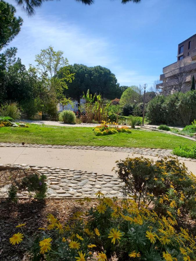 Le Grenier, Climatisation Terrasse Wi-Fi Netflix 15 Mn Coeur De Ville Béziers Dış mekan fotoğraf